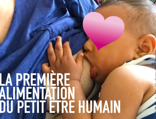 La première alimentation du petit être humain